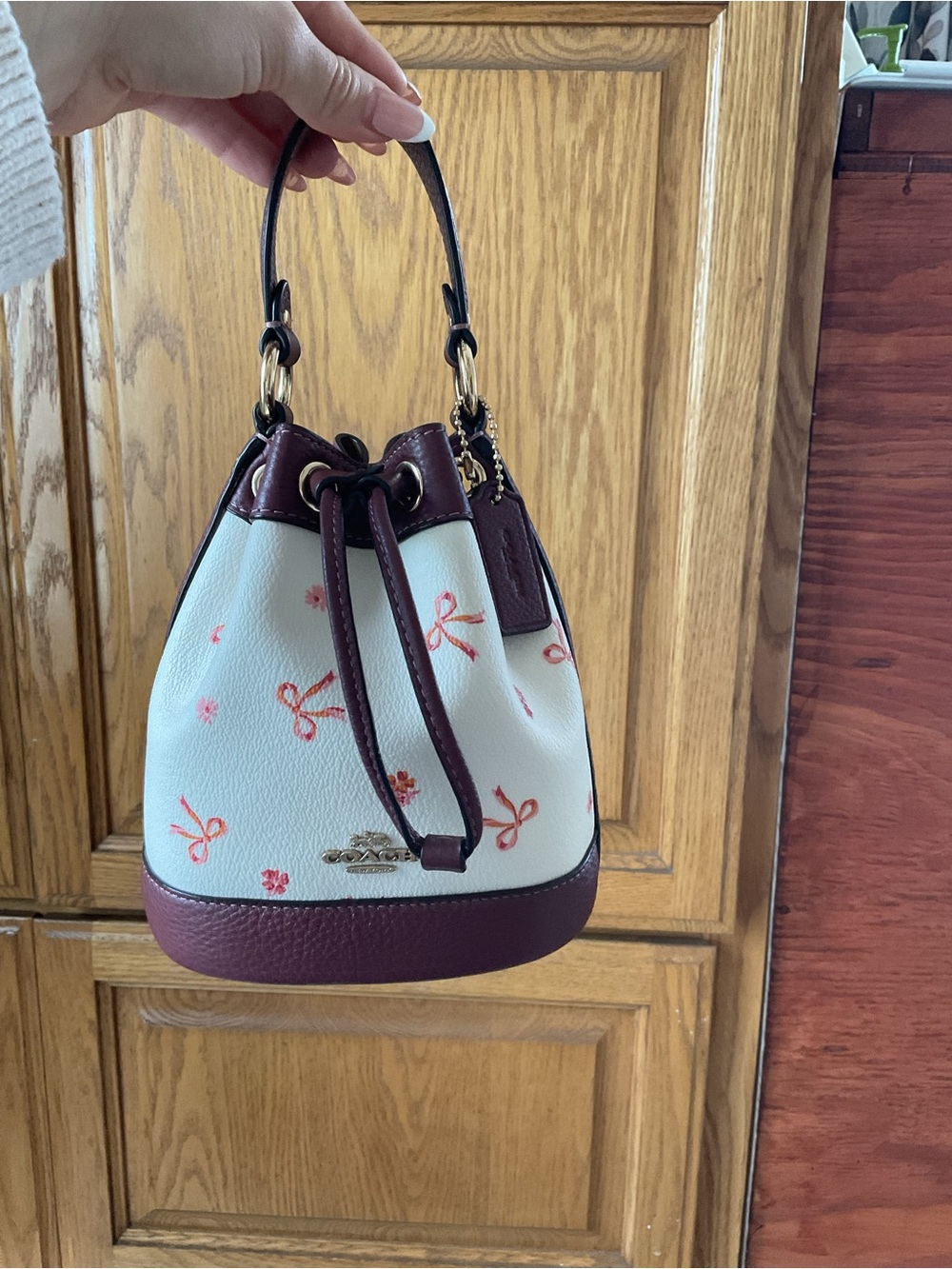 Coach Mini Drawstring Bucket Bag in White and Burgundy with Cherry Motif